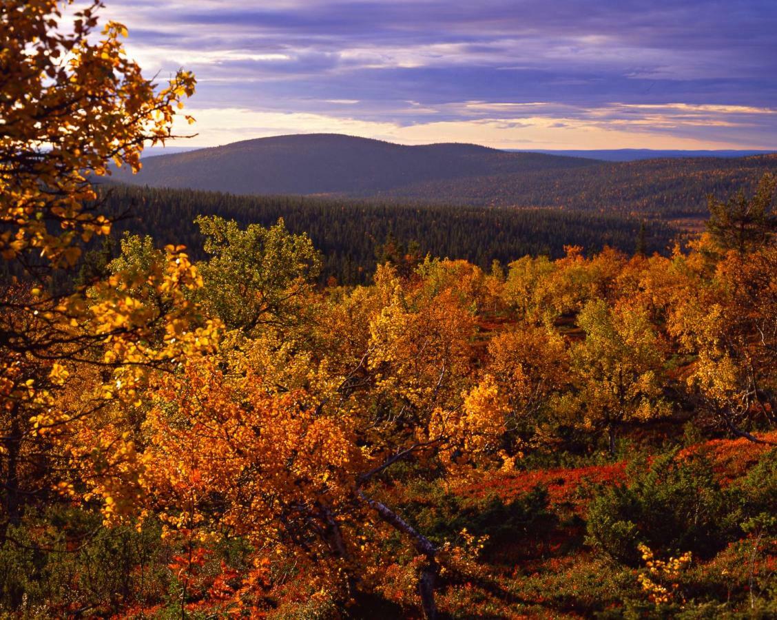 Lapland Hotels Yllaeskaltio Akaslompolo Ngoại thất bức ảnh